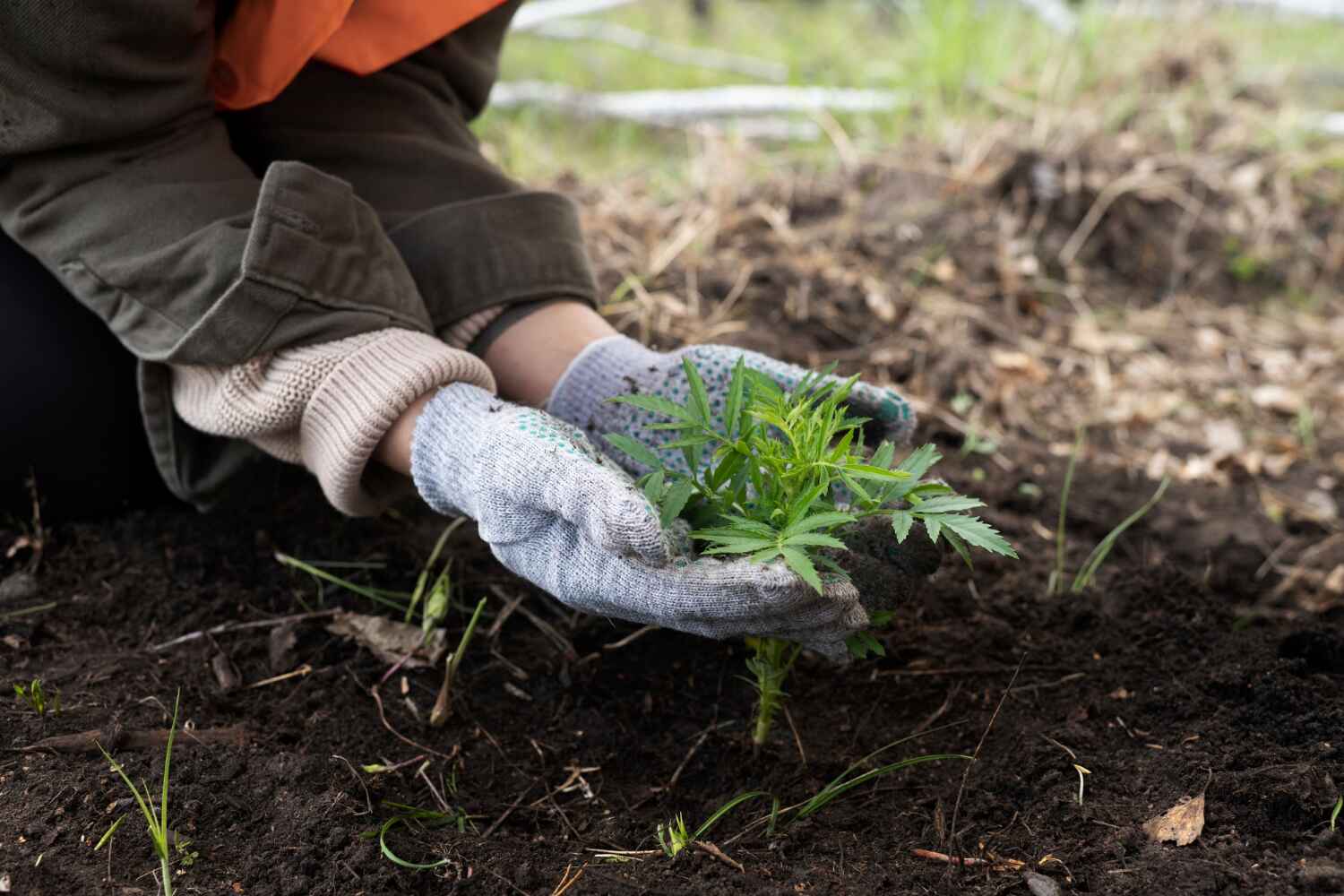 Best Tree Removal for Businesses  in USA